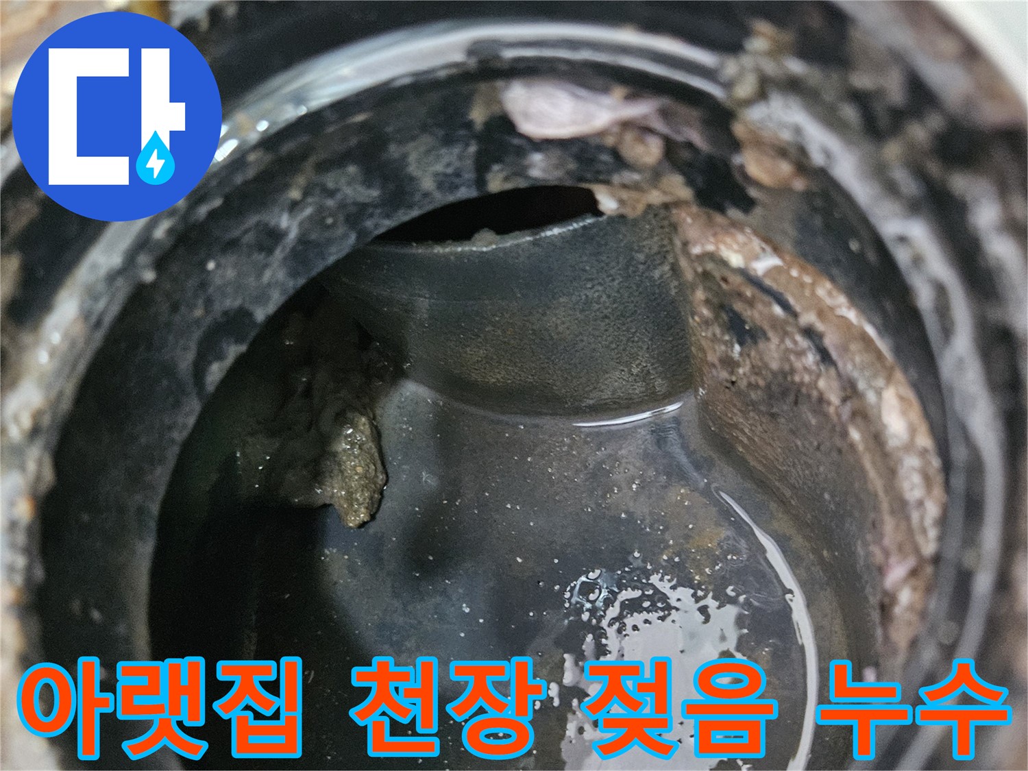 배수구 누수 - 아랫집 천장이 젖었다면 긴급 상황입니다