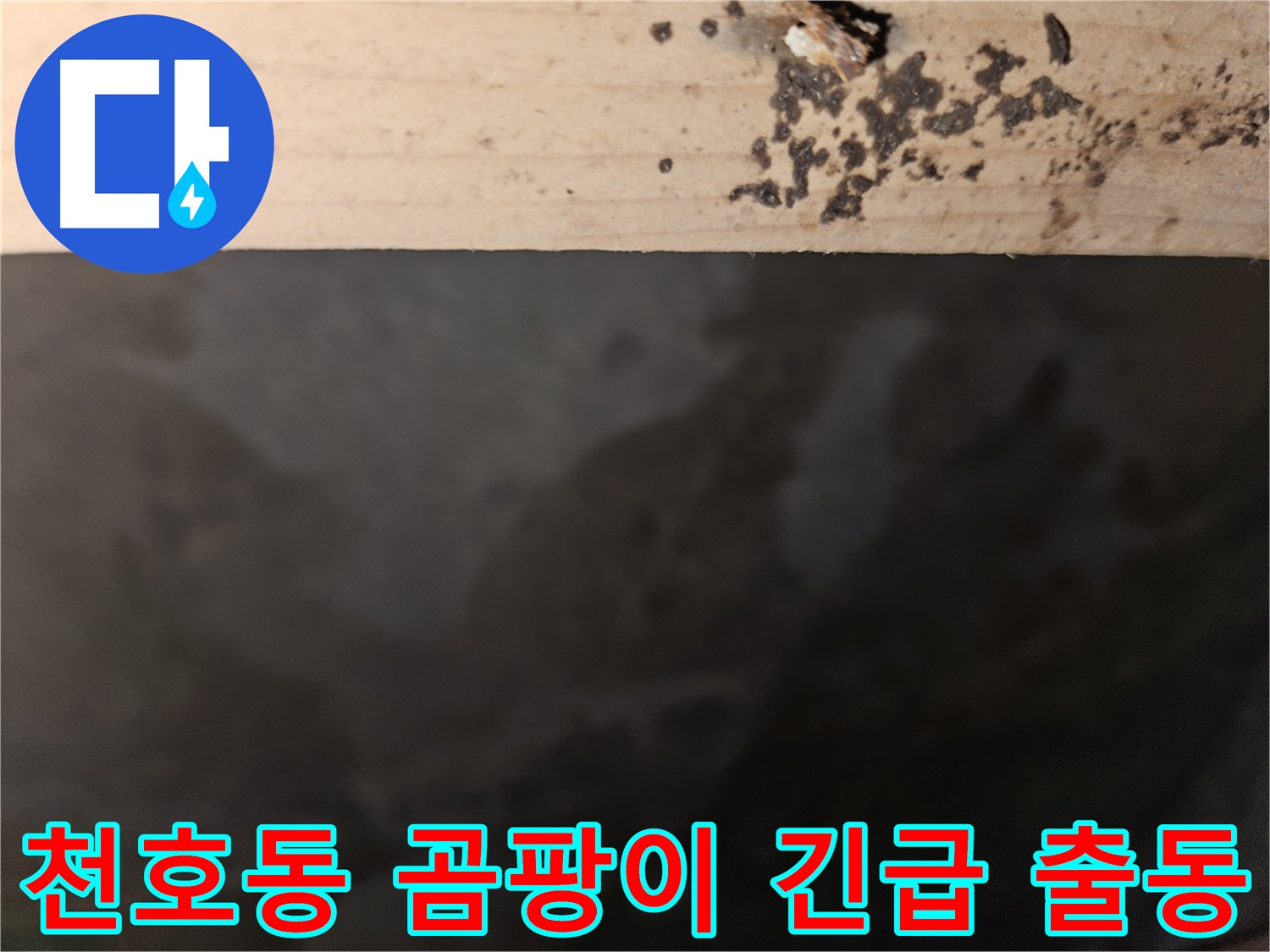 강동구 천호동 24시간 긴급 누수 출동