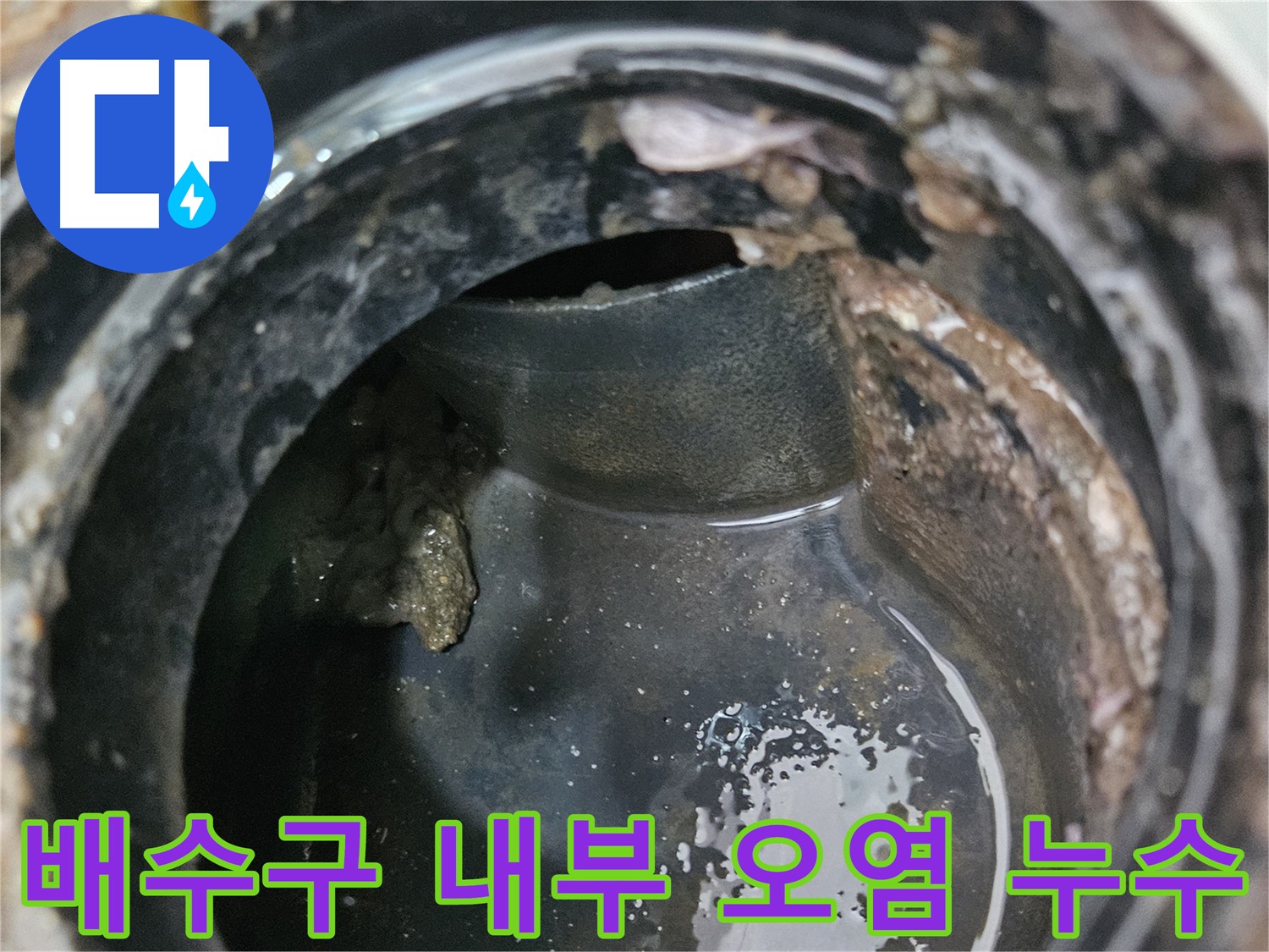 배수구 내부 오염 - 누수와 악취의 주범