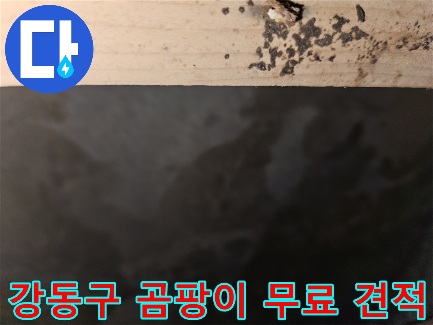 강동구 곰팡이 누수 무료 견적 상담