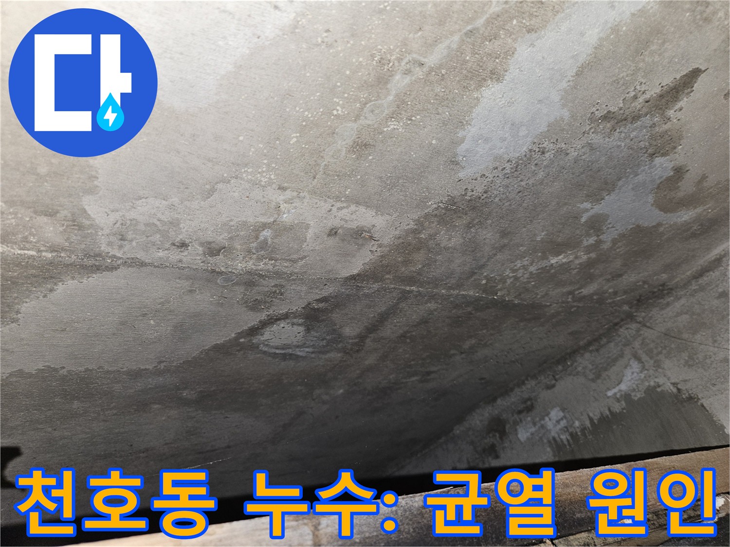 강동구 천호2동 아파트 누수 - 콘크리트 균열 원인 전문 분석
