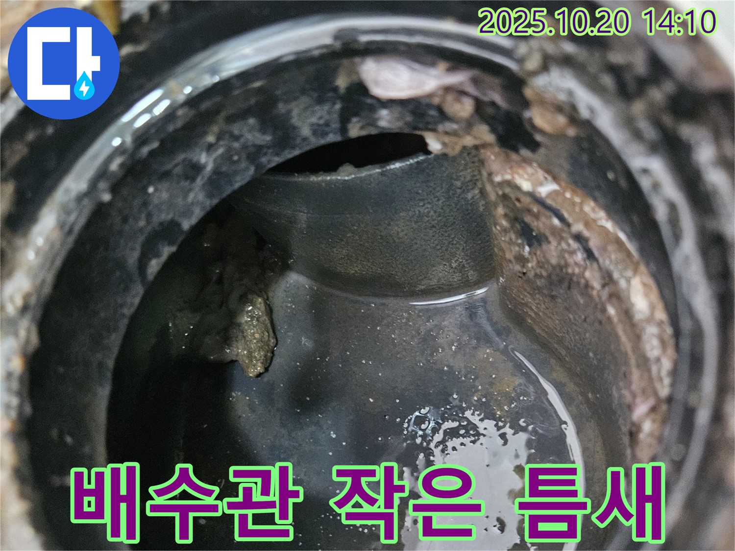 배수관 막힘의 시작 - 작은 틈새의 위험