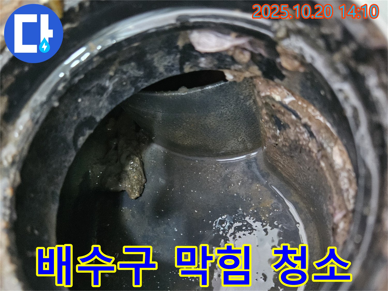 배수구 막힘 - 꼼꼼한 청소로 누수 해결