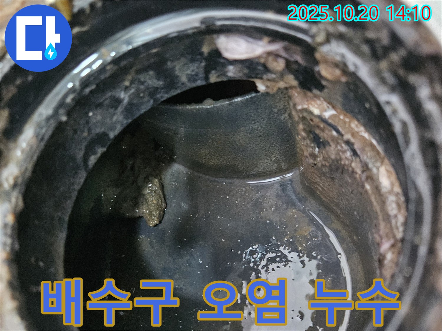 배수구 오염 - 세균 번식과 누수 문제
