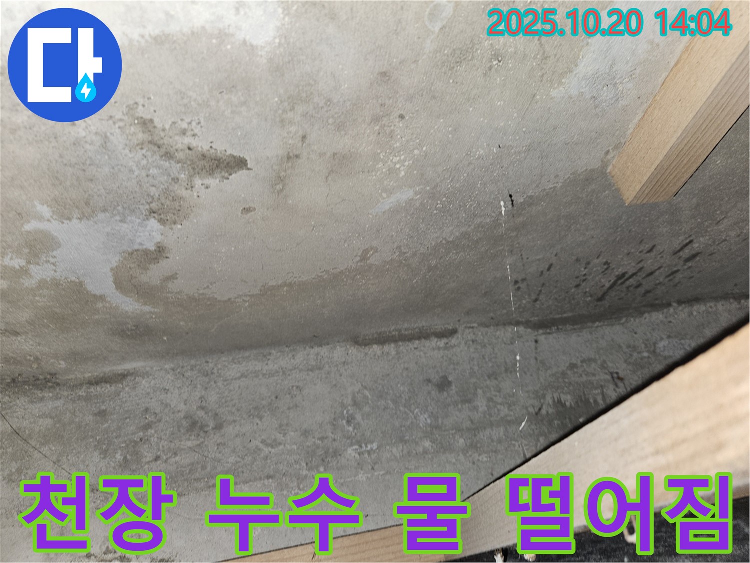 천장 누수 물 떨어짐 - 심각한 누수 상황