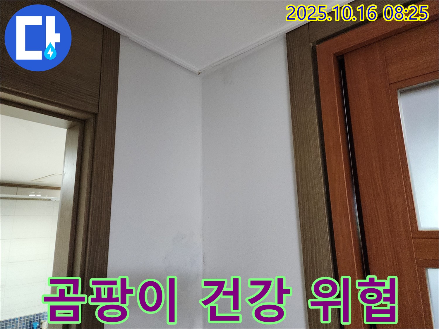 곰팡이 - 가족 건강 위협 - 누수 해결 시급