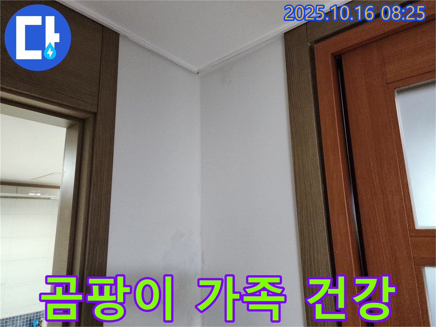 곰팡이 - 가족 건강 지키기 - 누수 해결