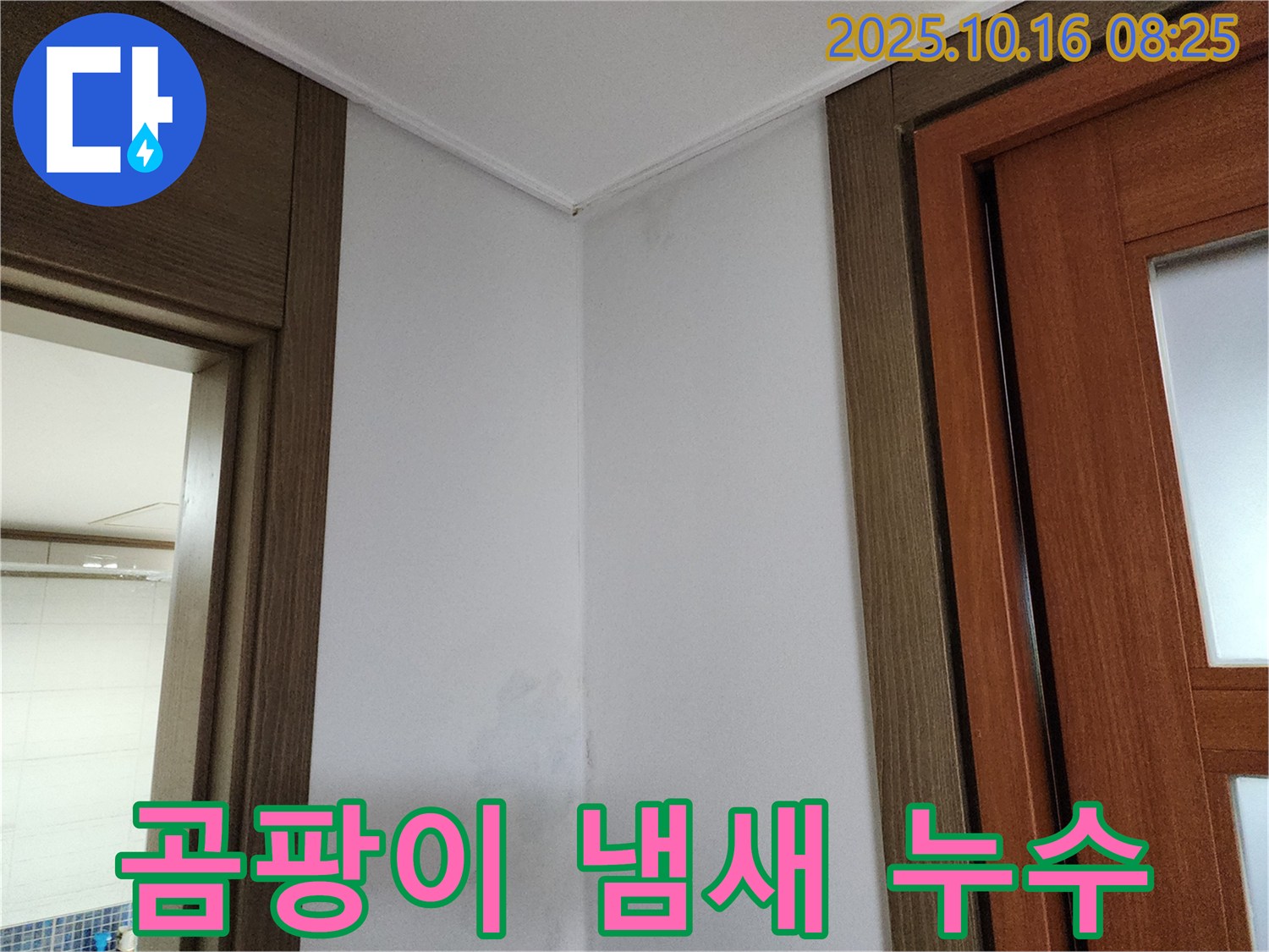 곰팡이 냄새 - 불쾌한 신호 - 누수 점검 필요