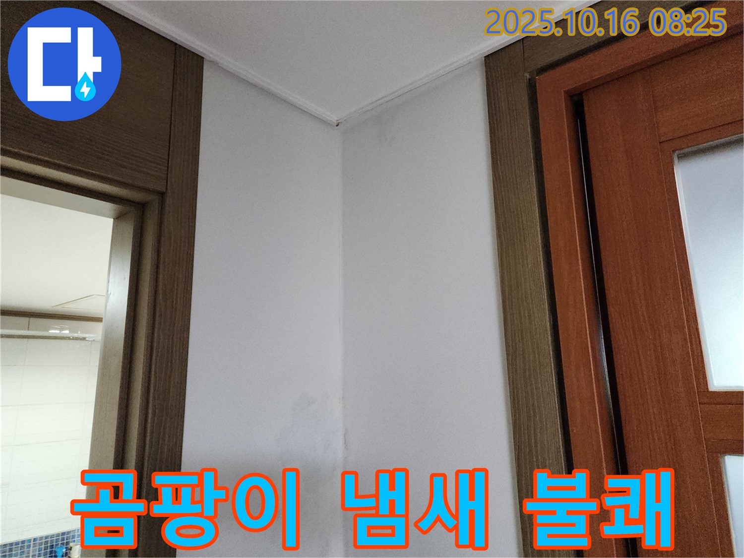 곰팡이 냄새 - 불쾌한 환경 - 누수 해결 시급