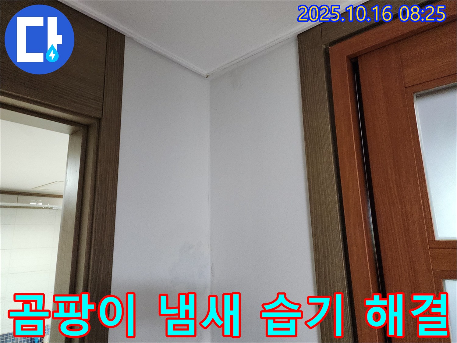 곰팡이 - 냄새 - 습기 해결 - 누수 문제 해결