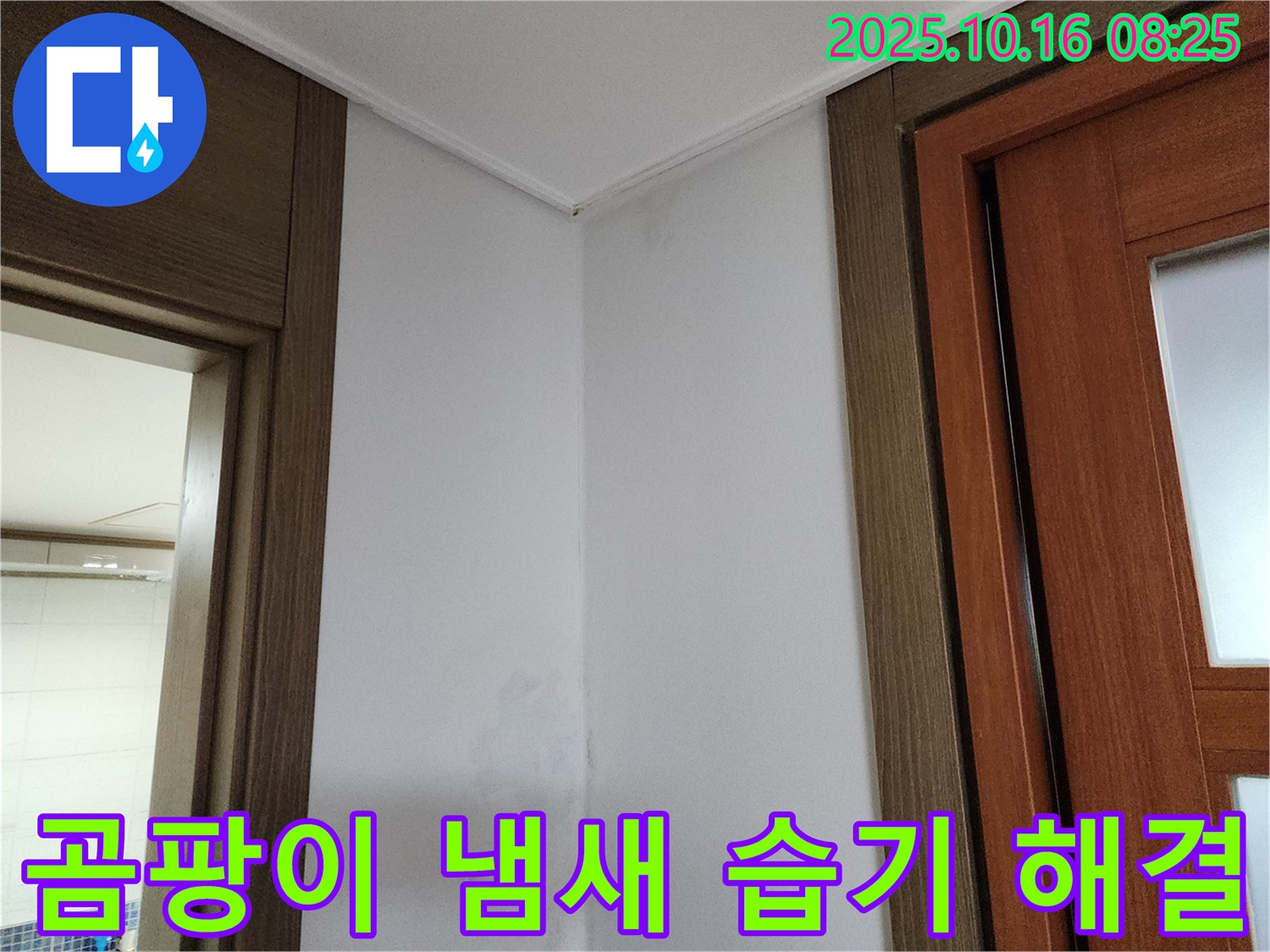 곰팡이 - 냄새 - 습기 해결 - 누수 문제 해결