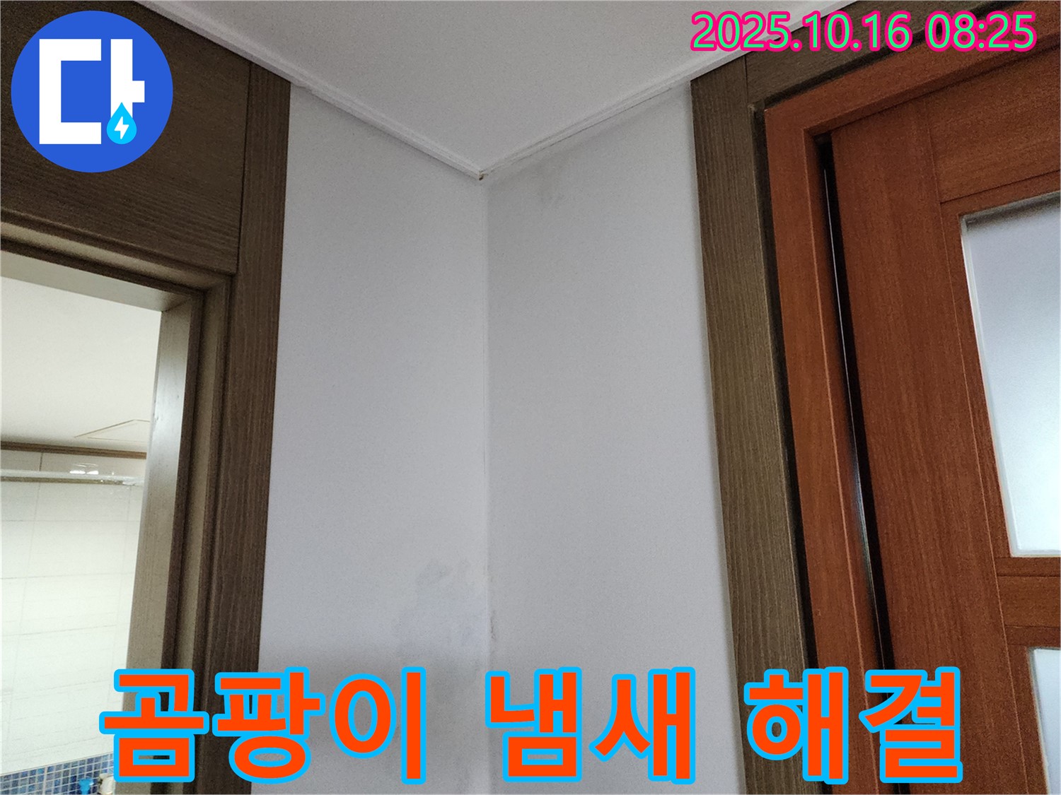 곰팡이 냄새 - 환기 무용지물 - 누수 해결 필수