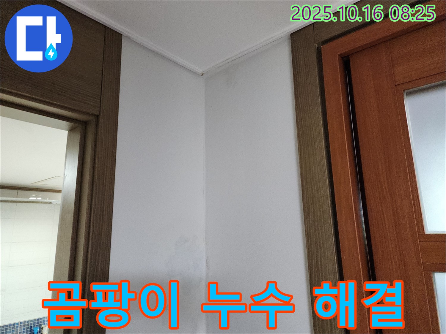 곰팡이 문제 해결 - 완벽한 누수 공사 - 쾌적한 환경