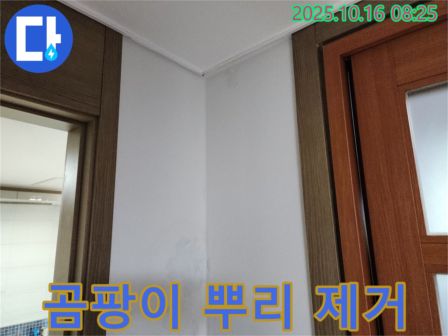 곰팡이 뿌리 제거 - 재발 방지 - 꼼꼼한 누수 탐지