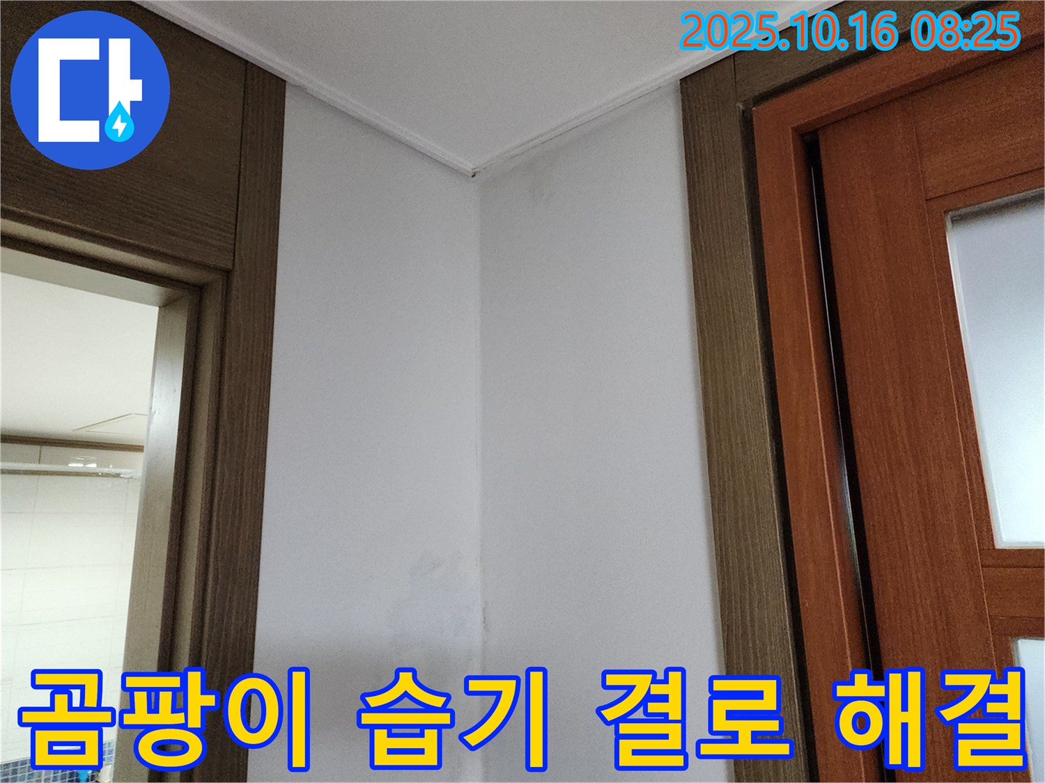 곰팡이 - 습기 - 결로 해결 - 쾌적한 공간