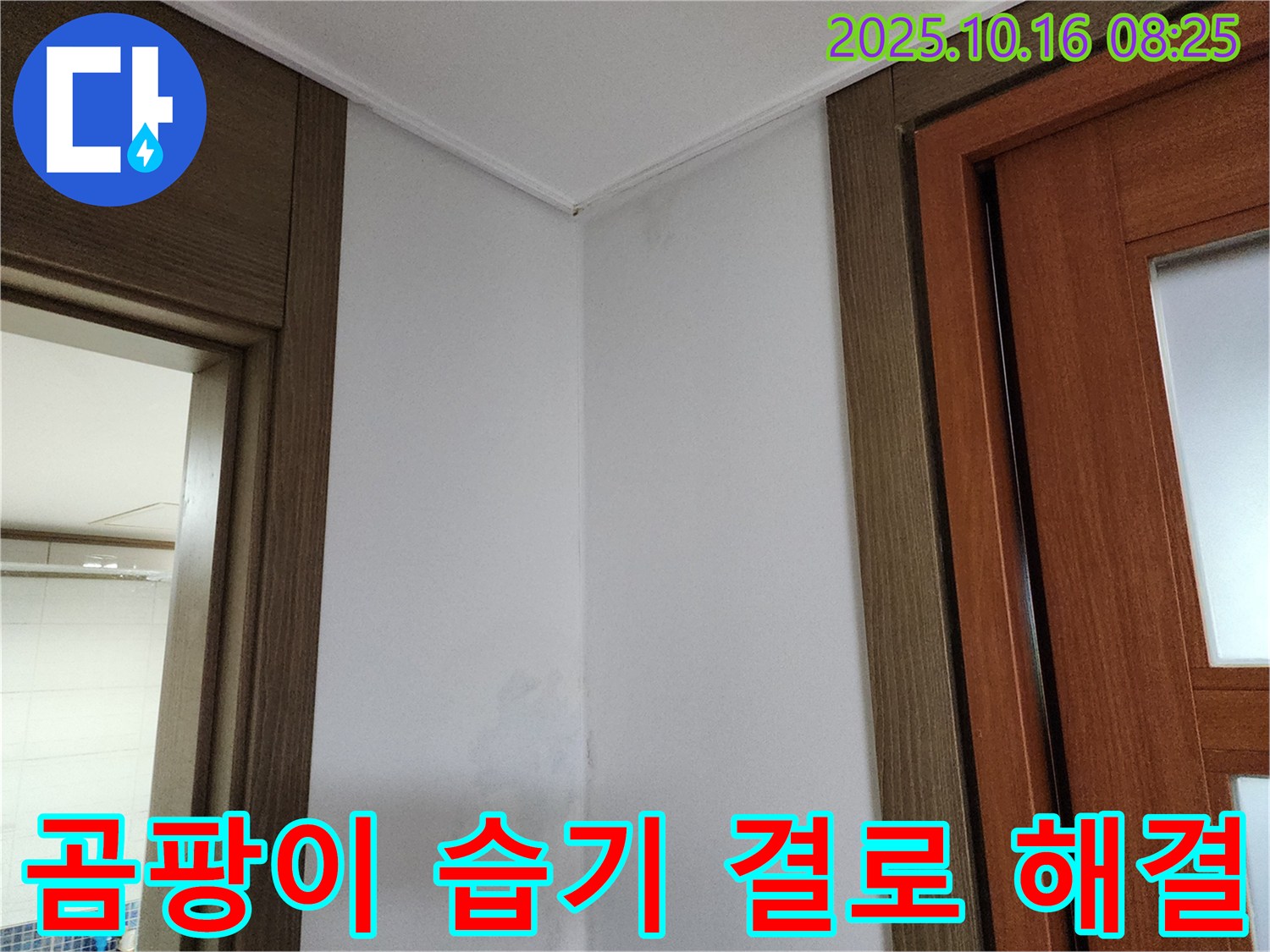 곰팡이 - 습기 - 결로 해결 - 쾌적한 공간 조성