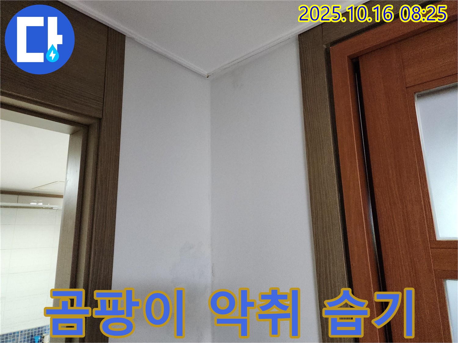 곰팡이 - 악취 - 습기 해결 - 쾌적한 환경