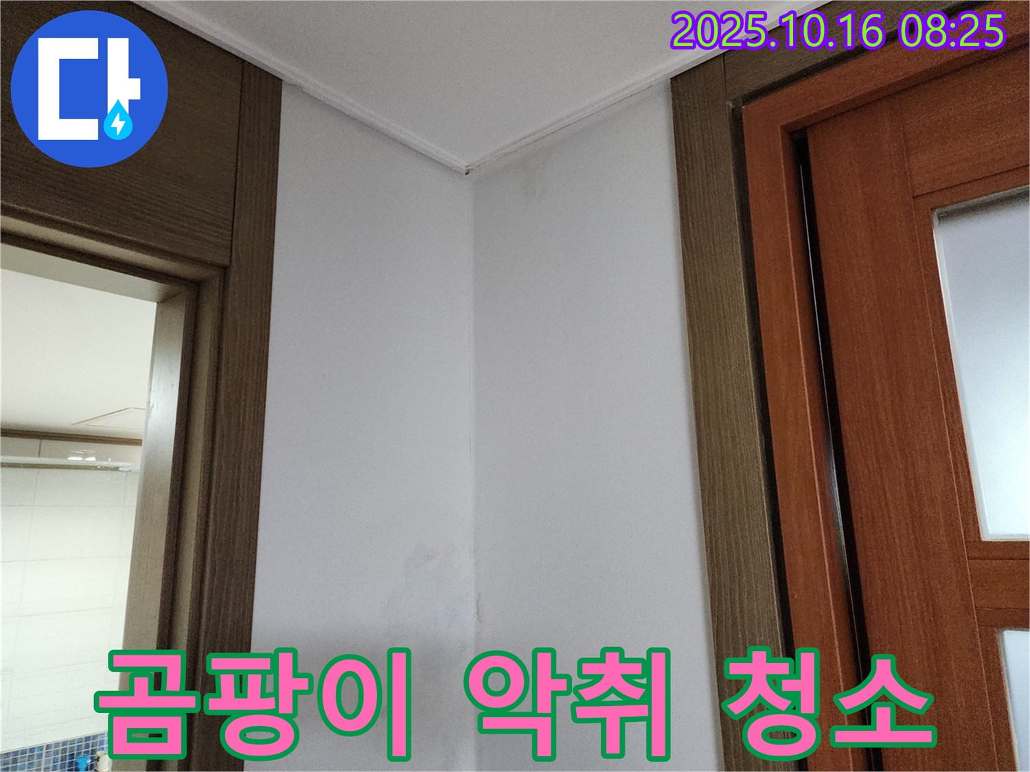 곰팡이 - 악취 제거 - 깨끗한 마무리 - 누수 해결