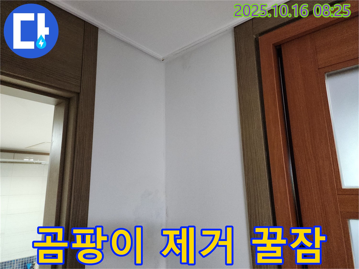 곰팡이 제거 - 쾌적한 공간 - 꿀잠 보장