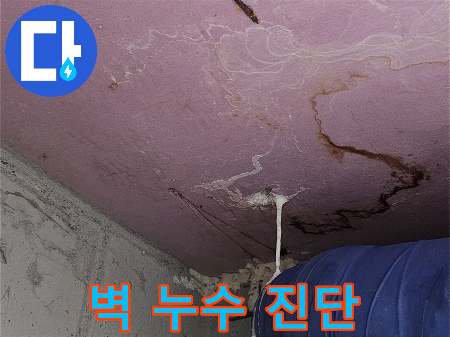양천구 신정동 누수 - 벽 타고 흐르는 물, 정확한 원인 진단