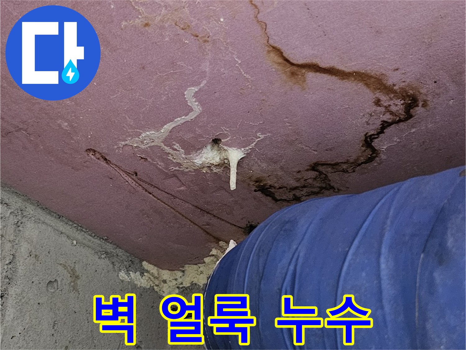 벽 얼룩 - 누수 원인 파악 중요