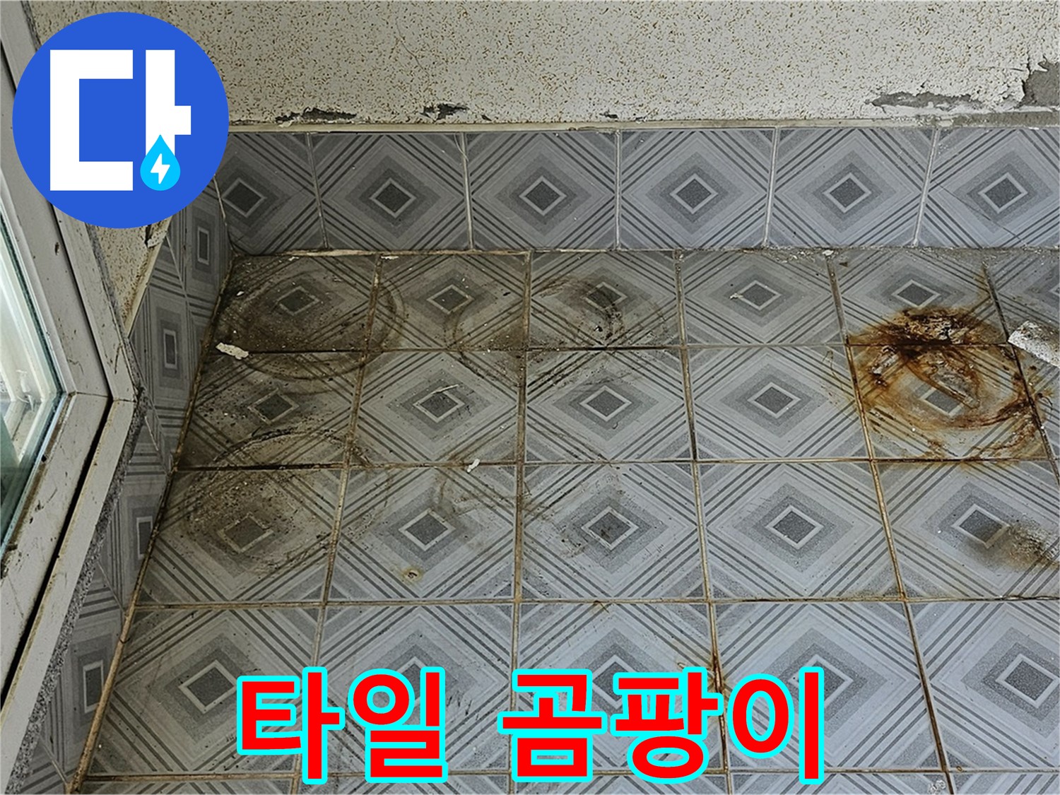 양천구 신정동 누수 - 타일 틈새 곰팡이
