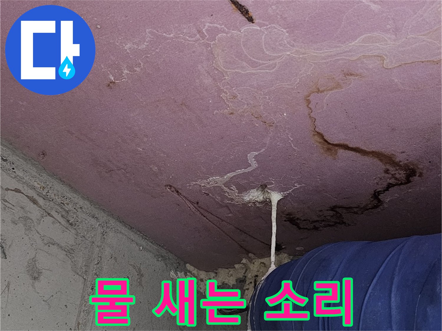 신정동 양천구 누수 - 물 새는 소리, 방치하면 큰 문제로
