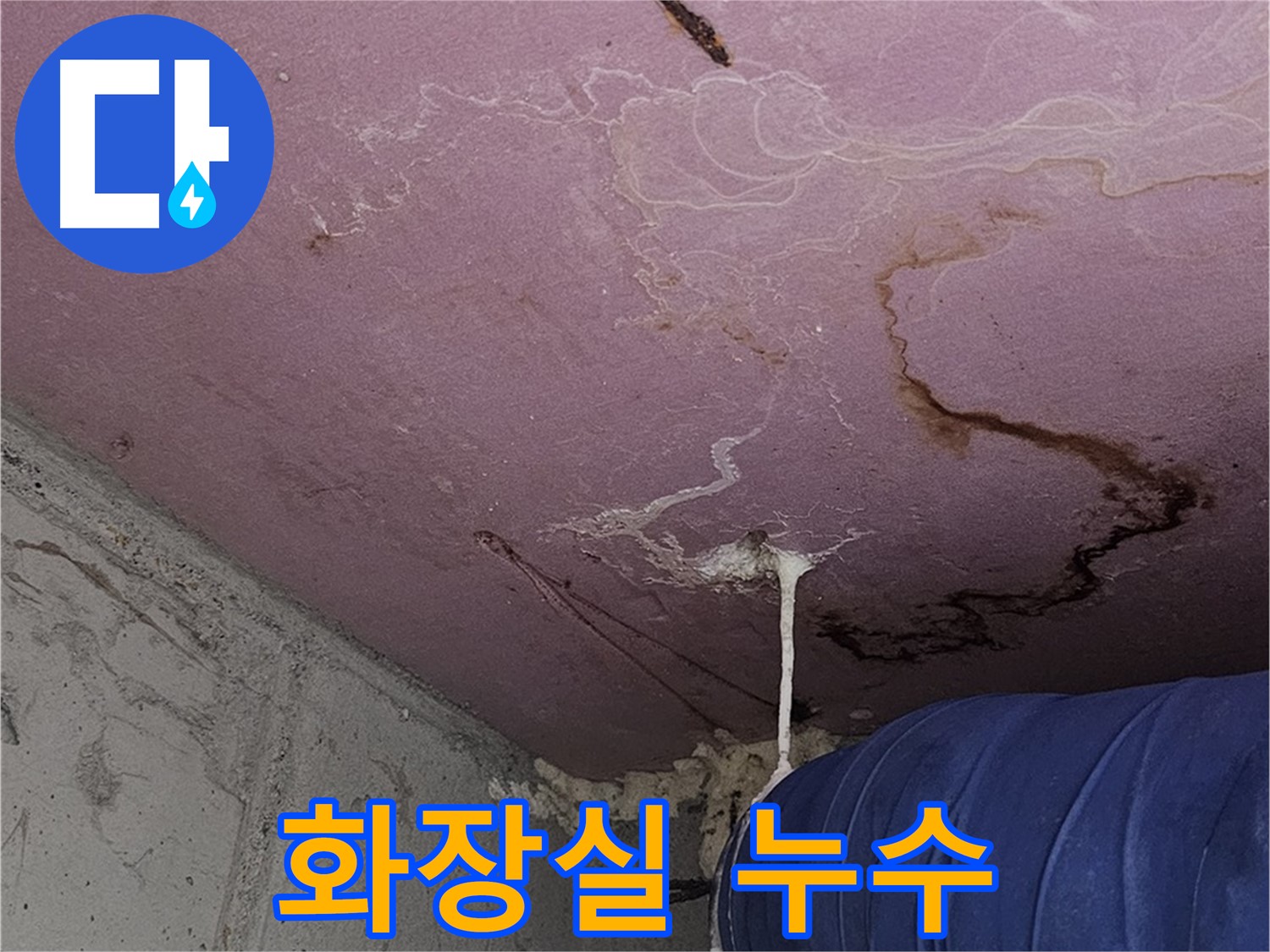 양천구 신정동 누수 - 화장실 천장 누수, 윗집 문제 해결