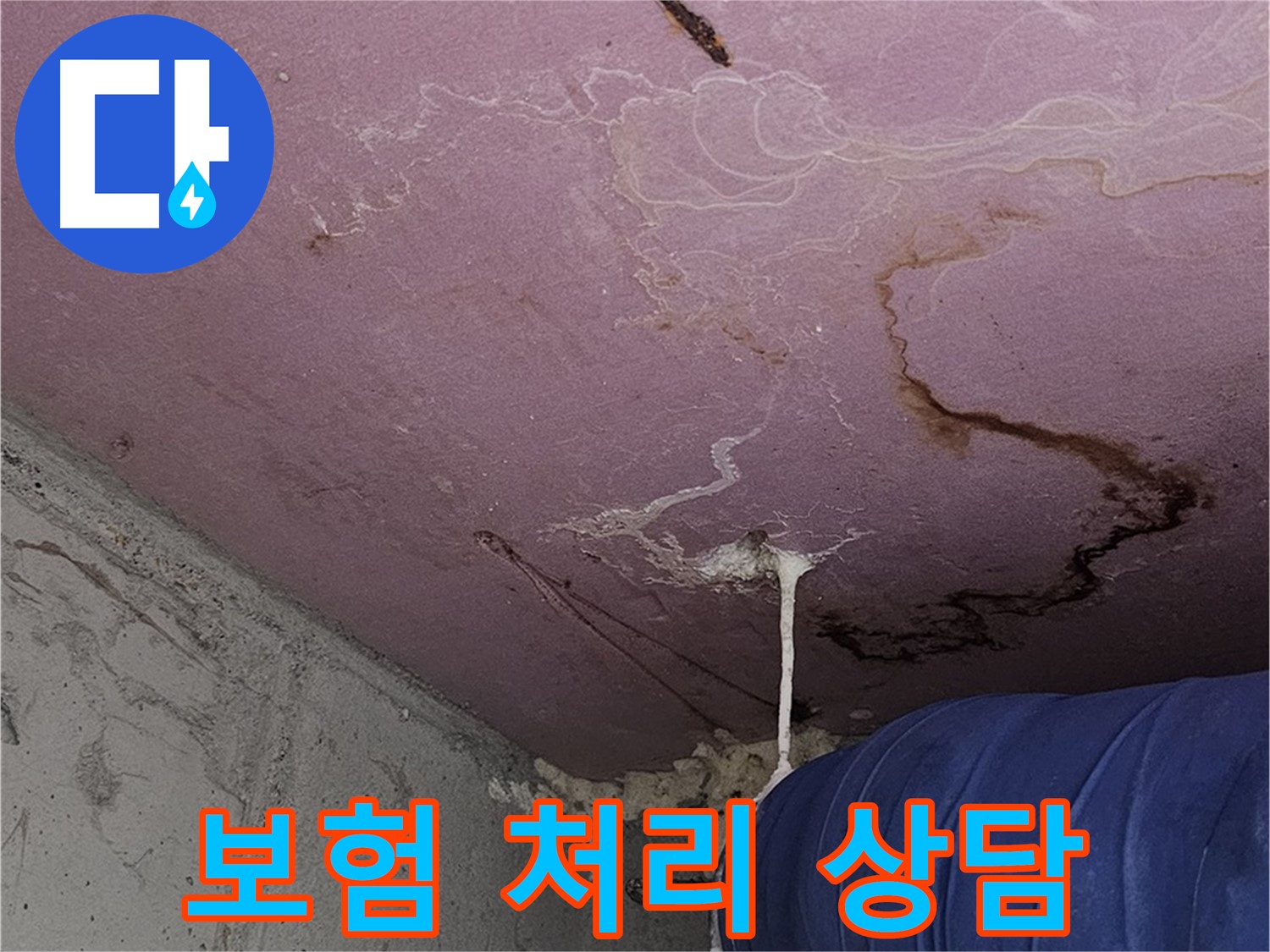 신정동 양천구 누수 - 누수 피해 보상, 보험 처리 상담 환영