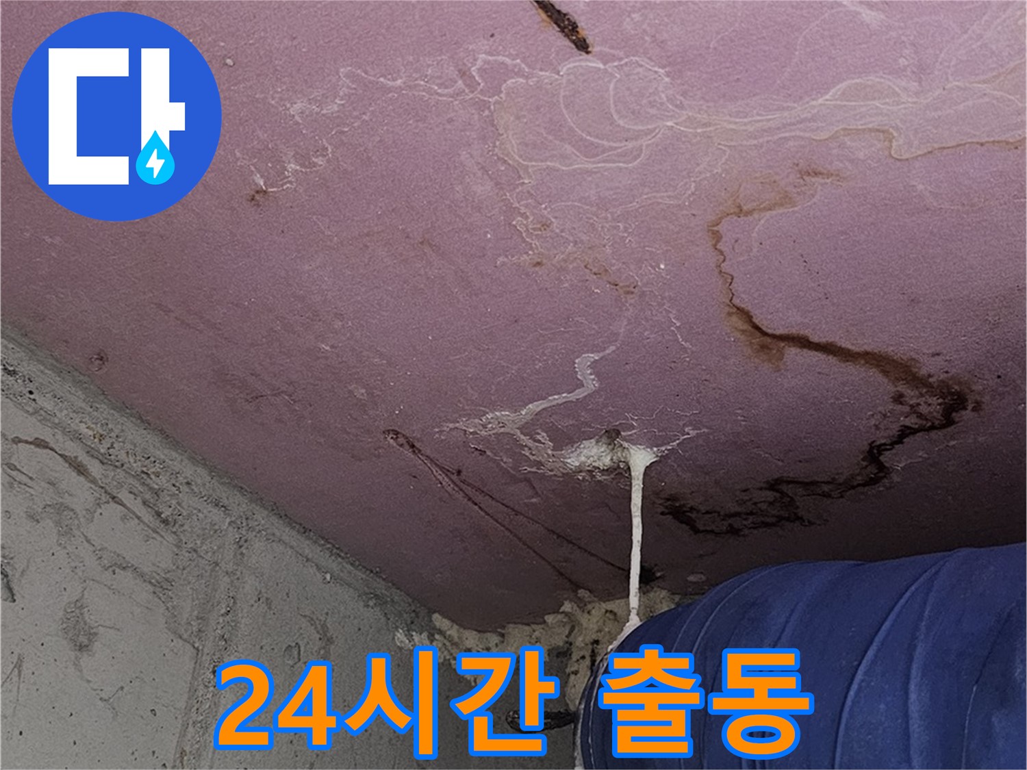 신정동 양천구 누수 - 24시간 긴급 출동 및 주말 누수 해결