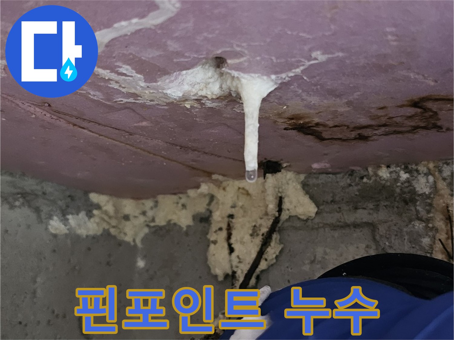 정밀 누수 탐지 - 핀포인트 누수 지점 발견
