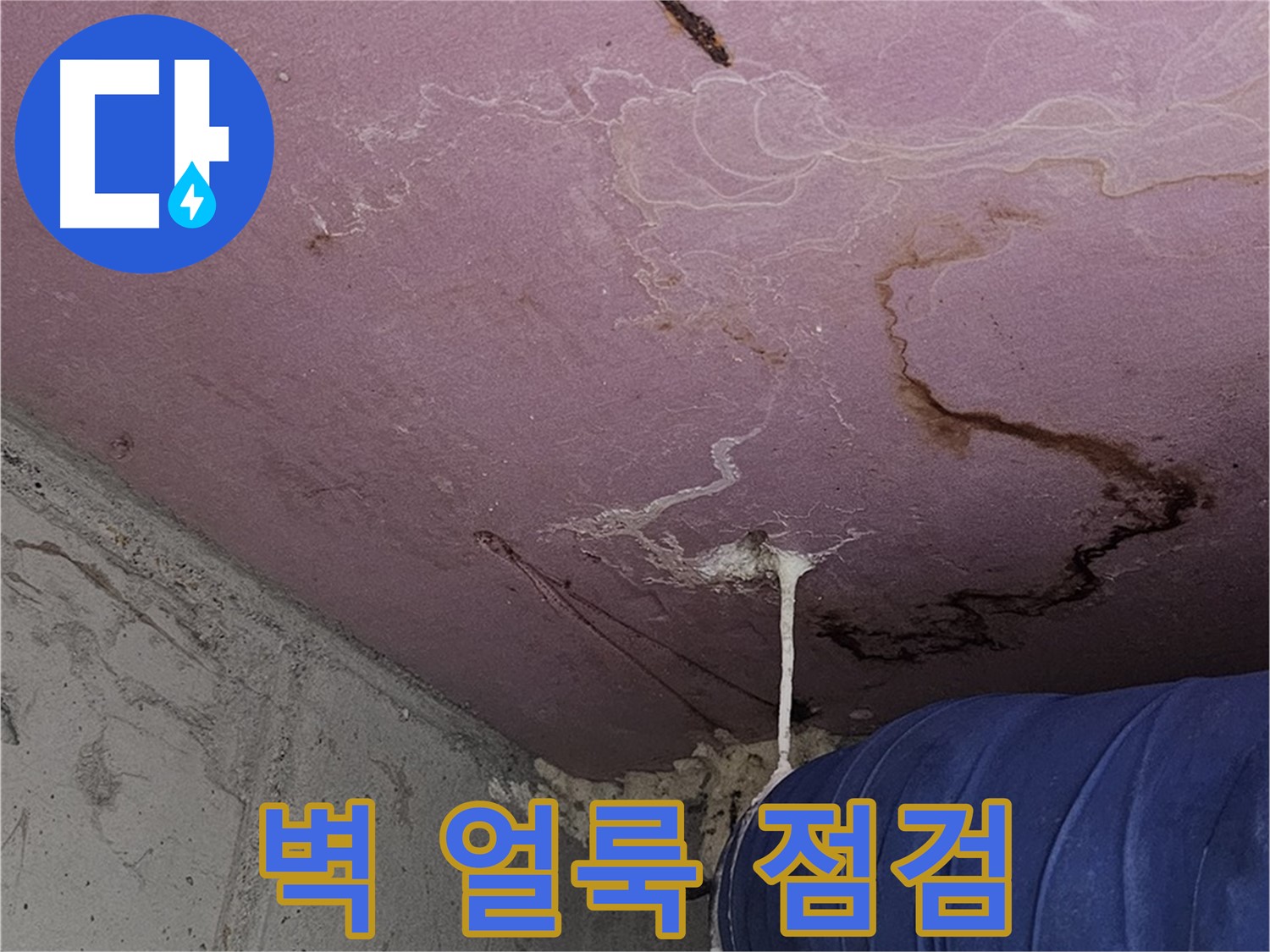 양천구 신월동 누수 - 벽에 생긴 얼룩, 꼼꼼한 점검 필요