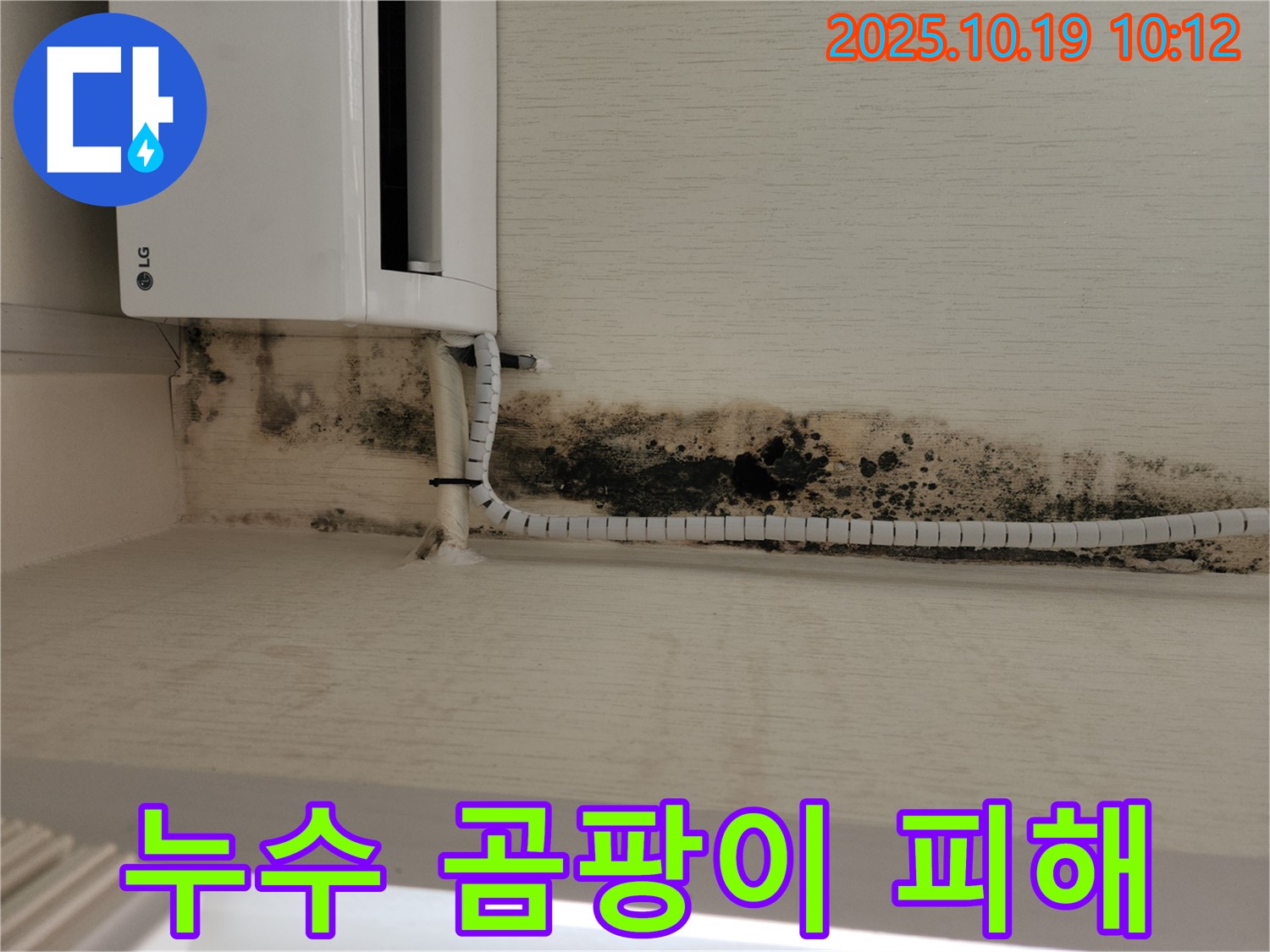 누수로 인해 벽에 곰팡이가 심하게 발생한 피해 사진