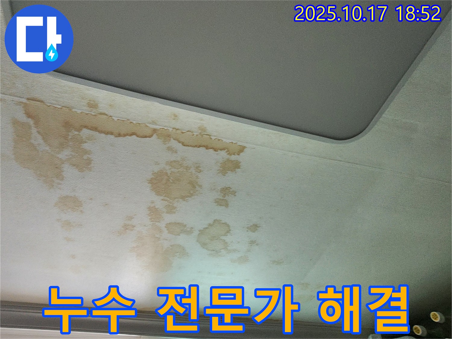 누수 전문가 해결 - 숙련된 기술 - 완벽한 시공
