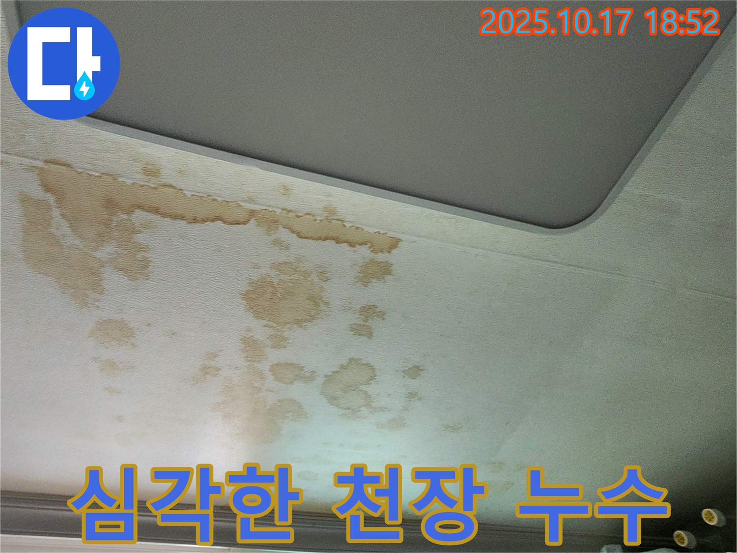 심각한 천장 누수 - 즉각적인 조치 필요 - 전문가 상담