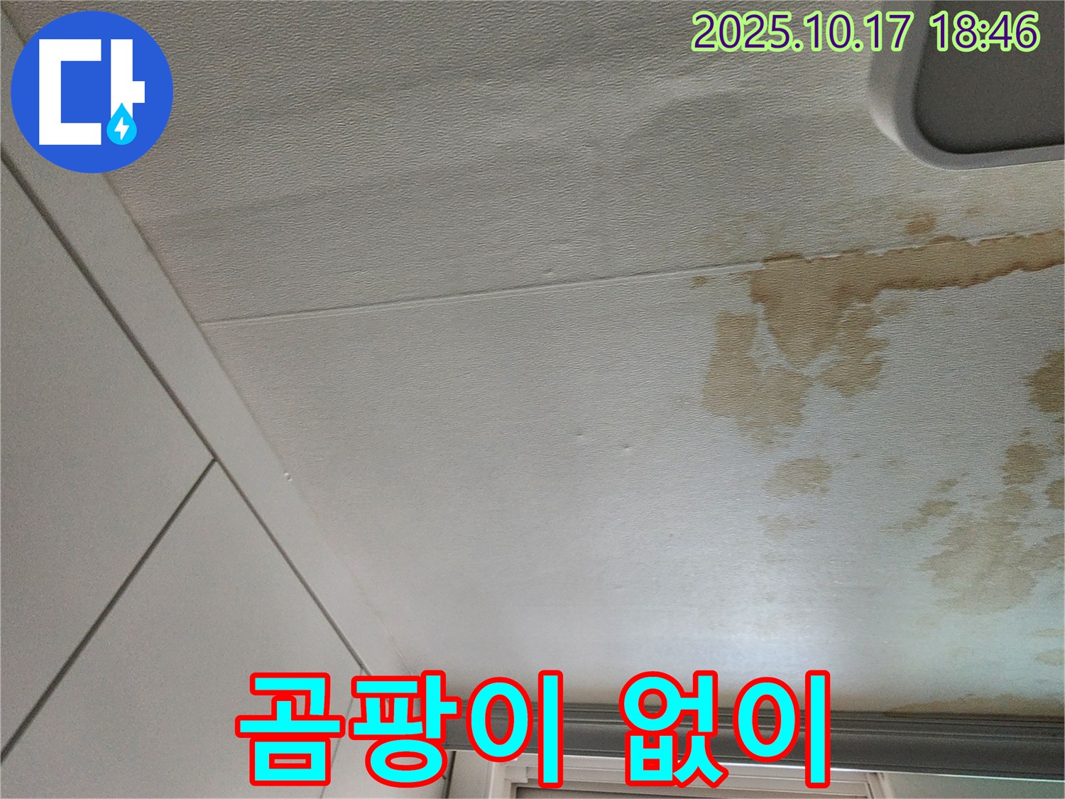 양주 천장 누수 - 곰팡이 걱정 없이 깨끗하게