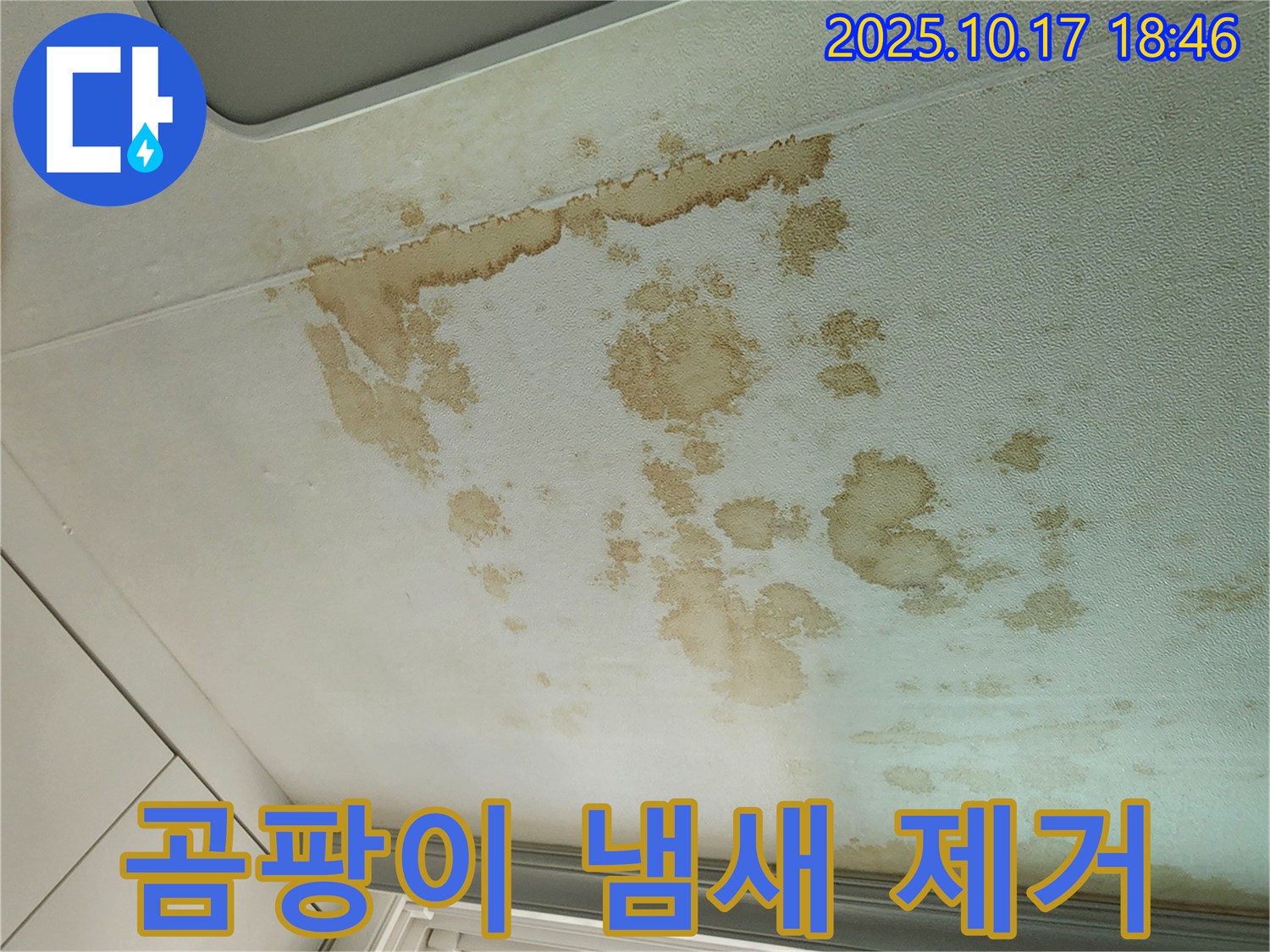 양주시 남면 상수리 누수 - 곰팡이 냄새 - 곰팡이 제거까지