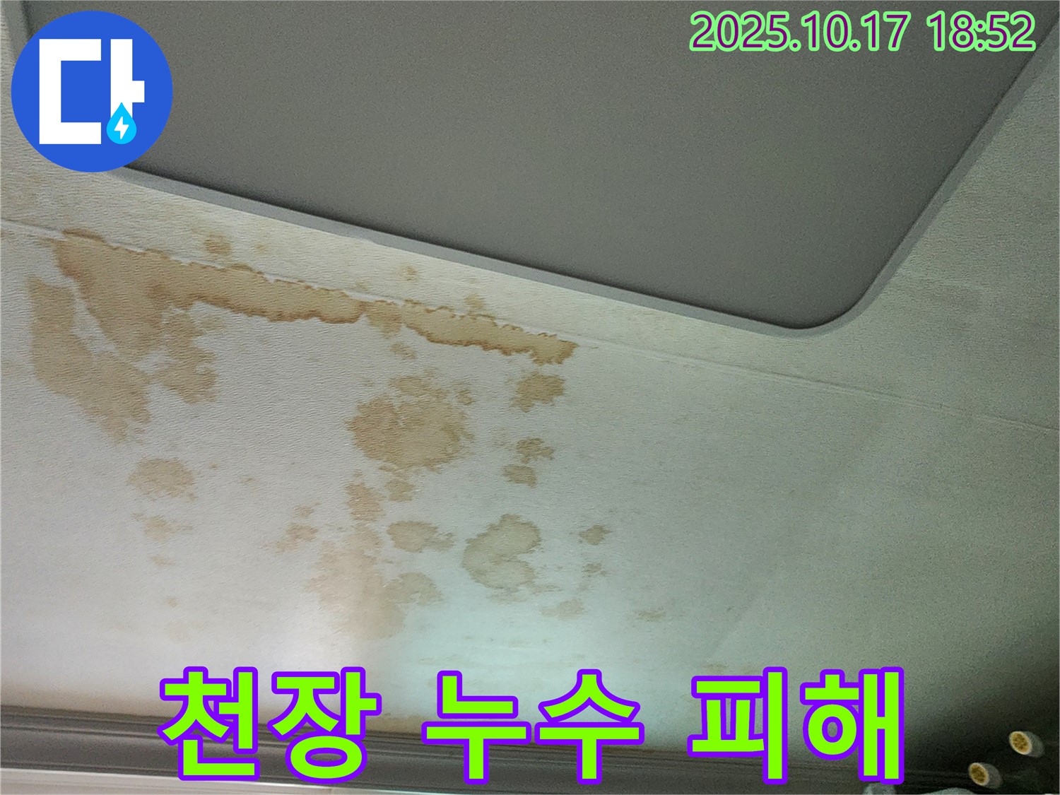 천장 누수 피해 - 젖은 천장 - 곰팡이 발생 위험
