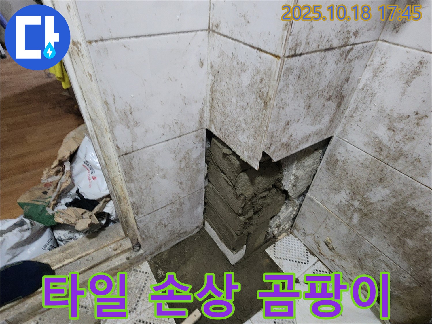 양주시 장흥면 교현리 - 타일 손상과 곰팡이 누수