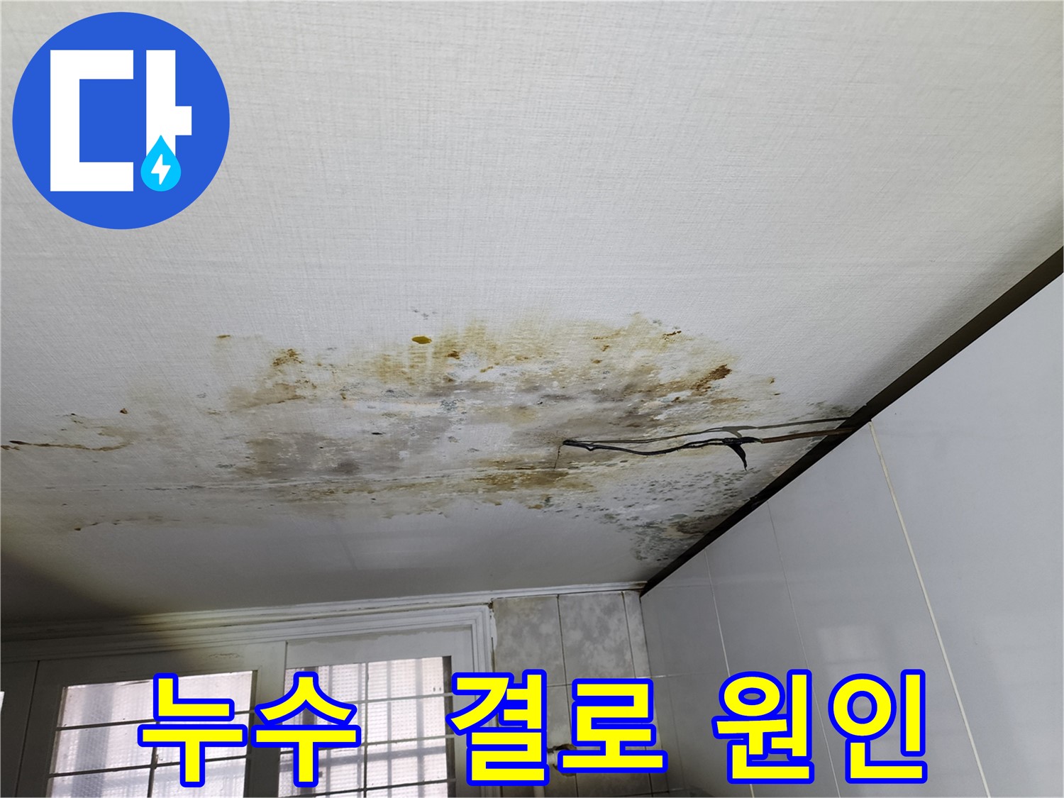 빌라 천장 곰팡이 - 누수 및 결로 원인