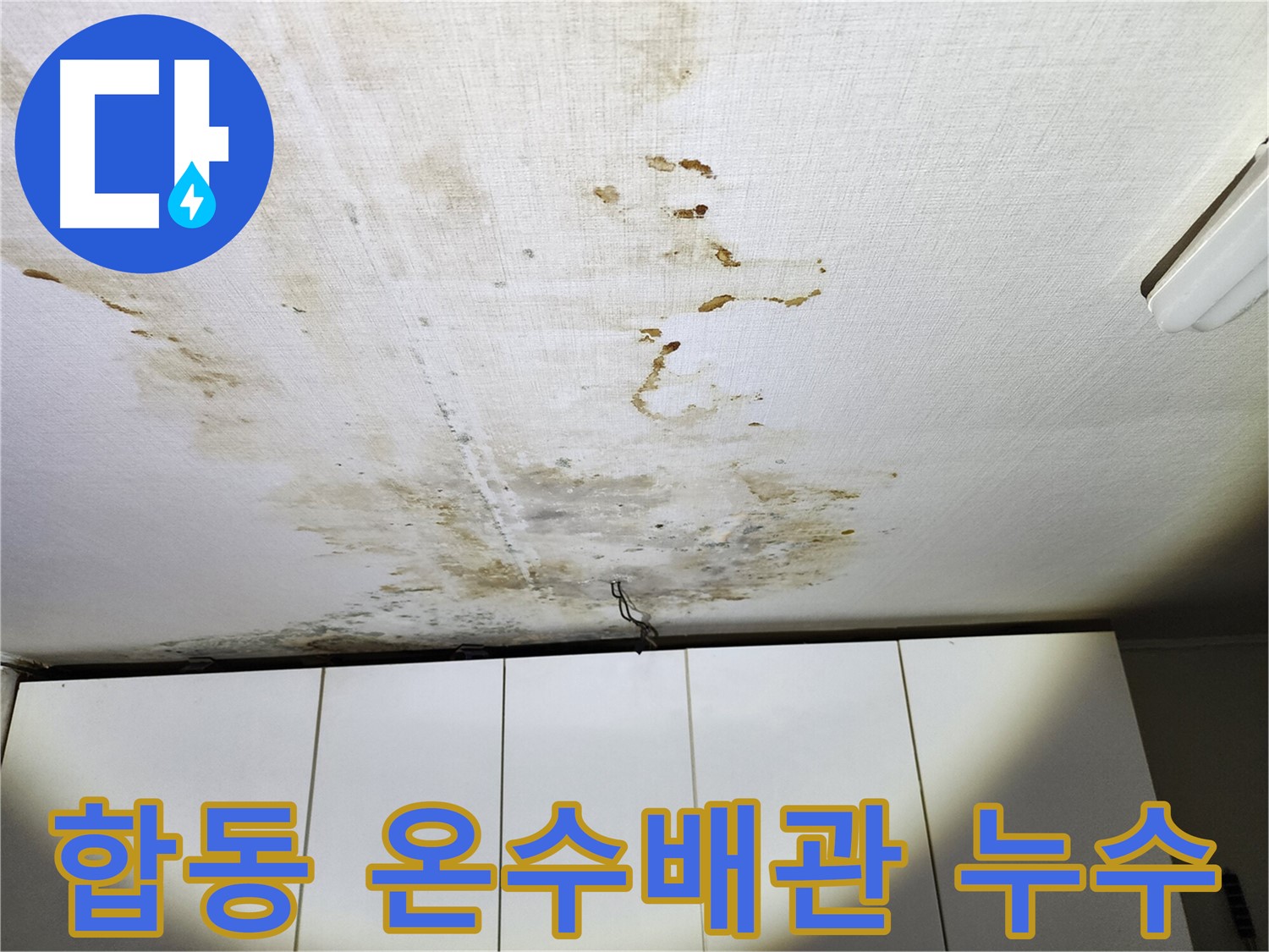 합동 온수배관 누수 - 아랫집 천장 누수 및 가스탐지