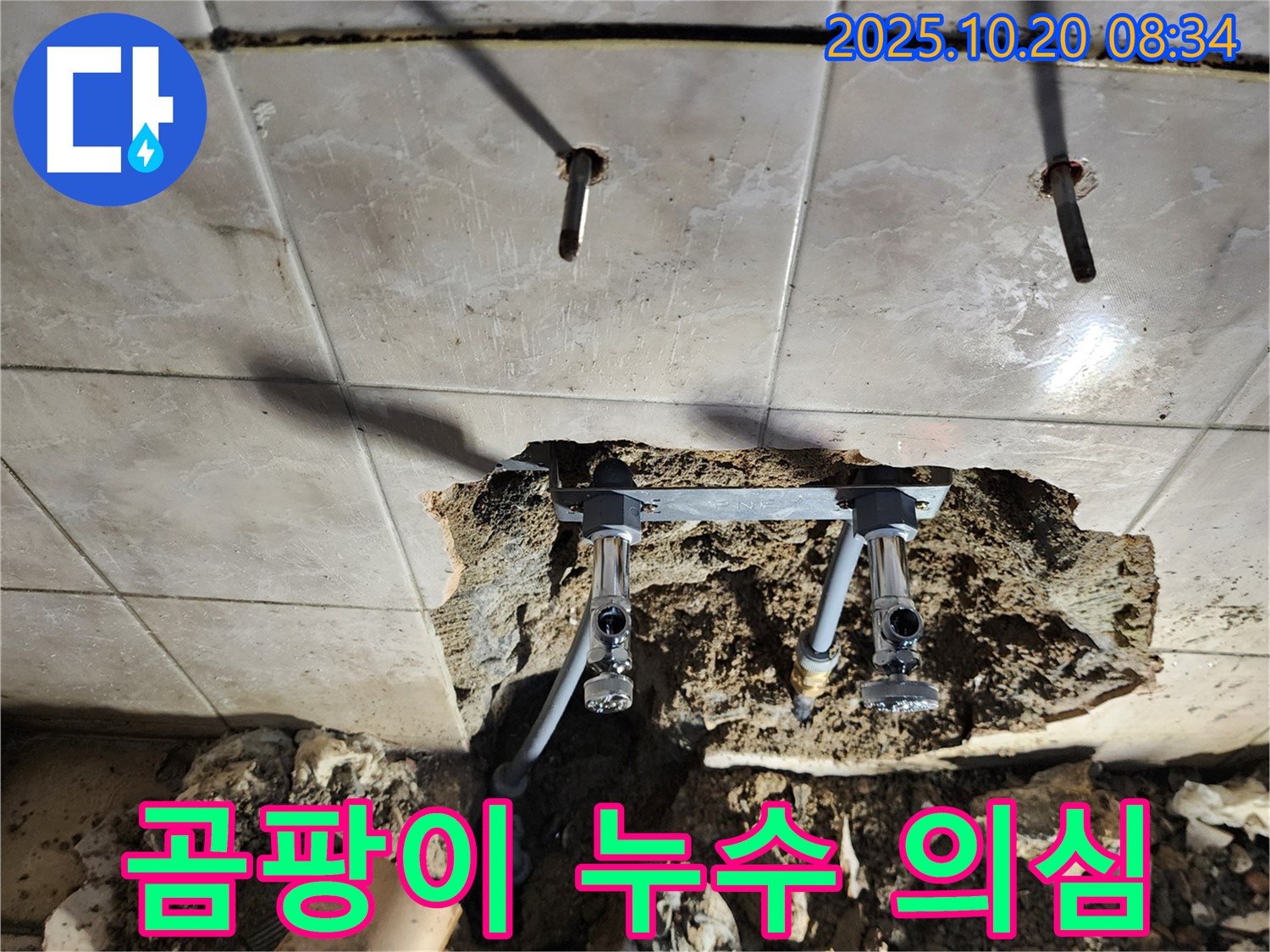 곰팡이 발생 - 누수를 의심하고 전문가에게 문의하세요.