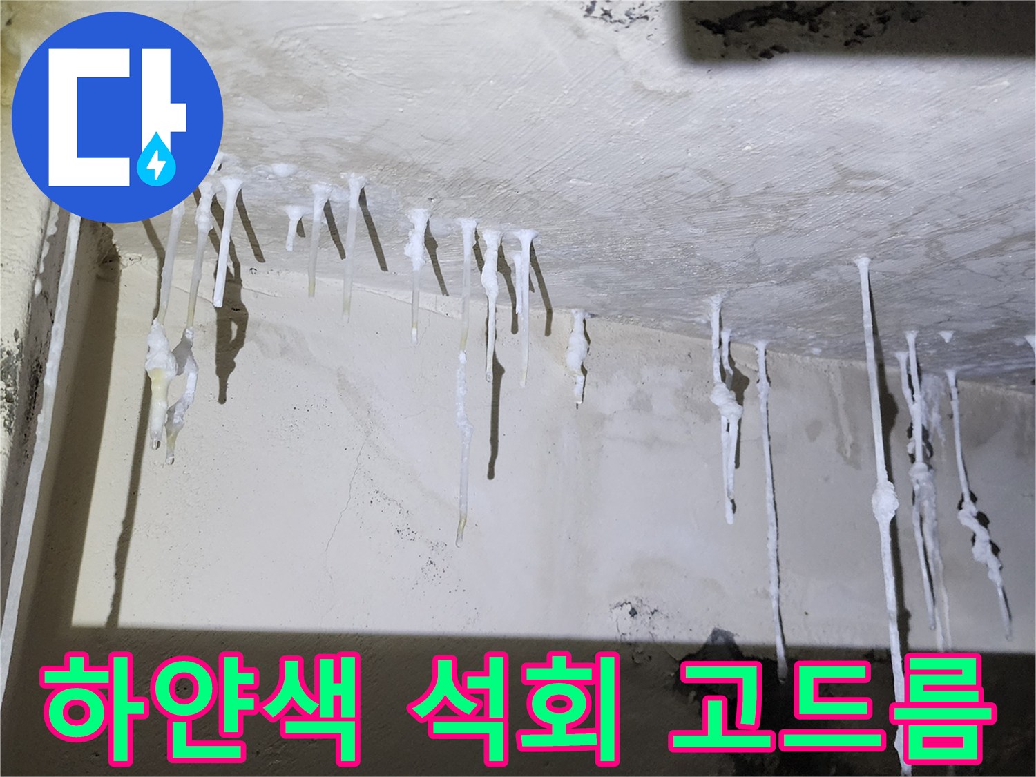 천장 콘크리트 층에서 흘러내린 석회 물질의 모습