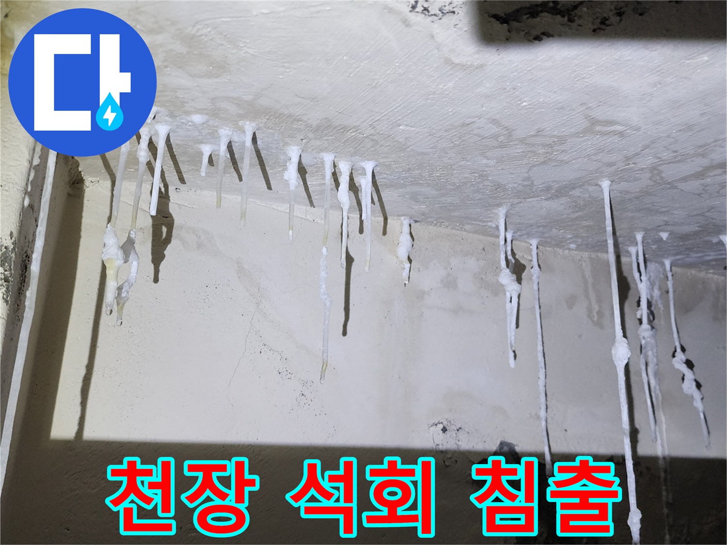 천장에 형성된 백색의 석회 고드름 무리