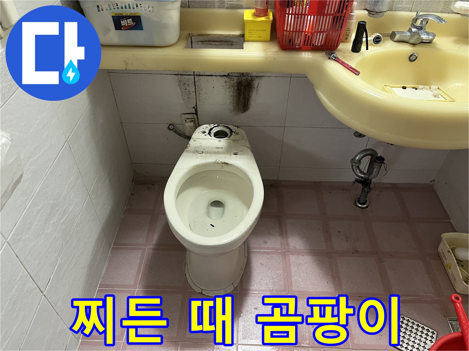 독산동 형제빌 변기 누수 - 찌든 때와 곰팡이 완벽 제거