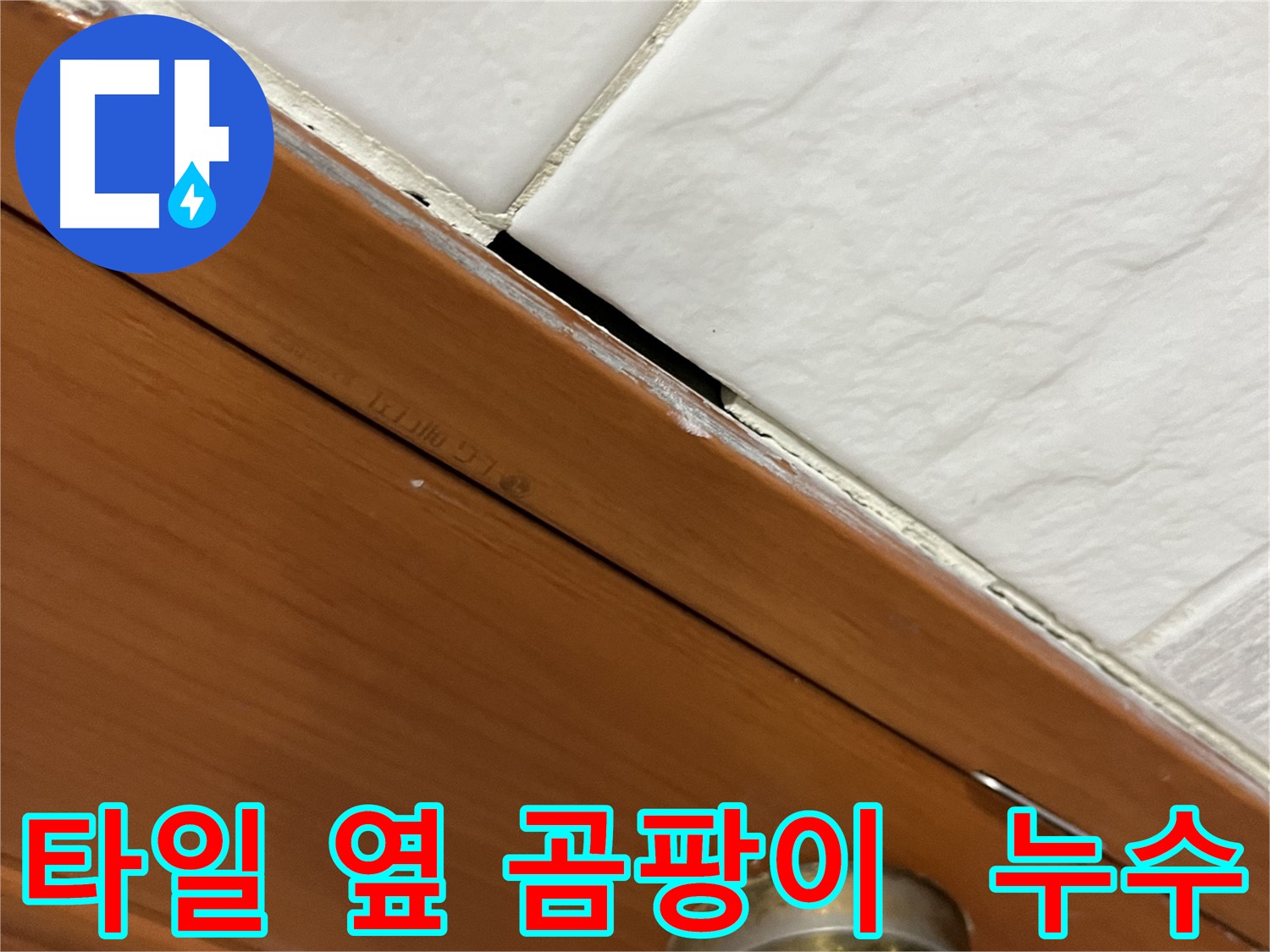 타일 옆에 검은 곰팡이가 핀 모습