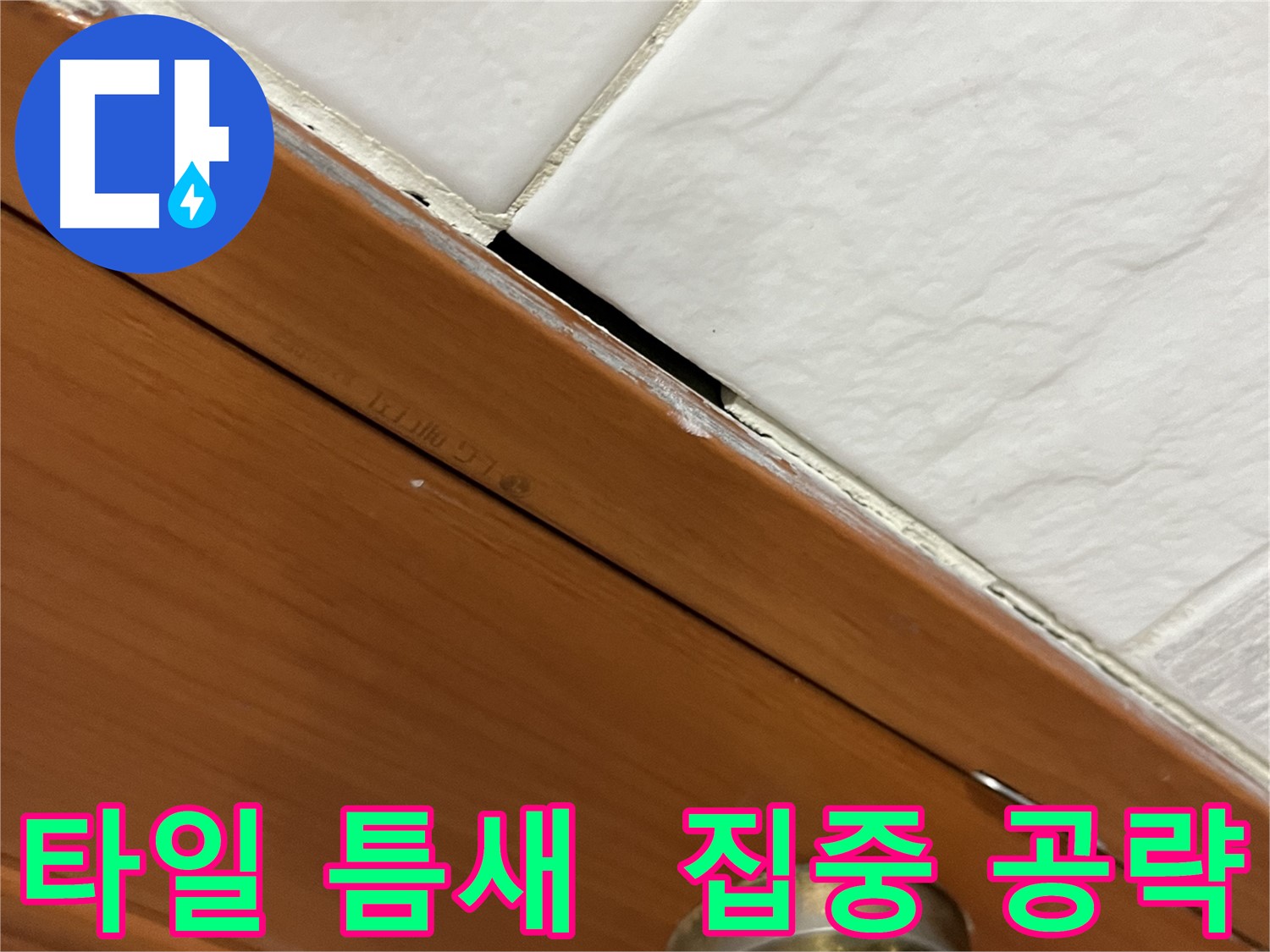 타일 틈새를 집중적으로 점검하는 모습