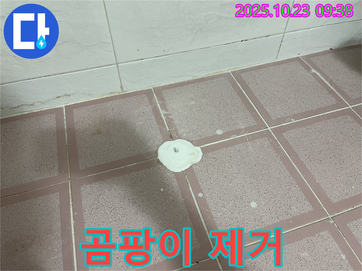곰팡이 핀 백시멘트 - 깨끗하게 제거하고 재시공!