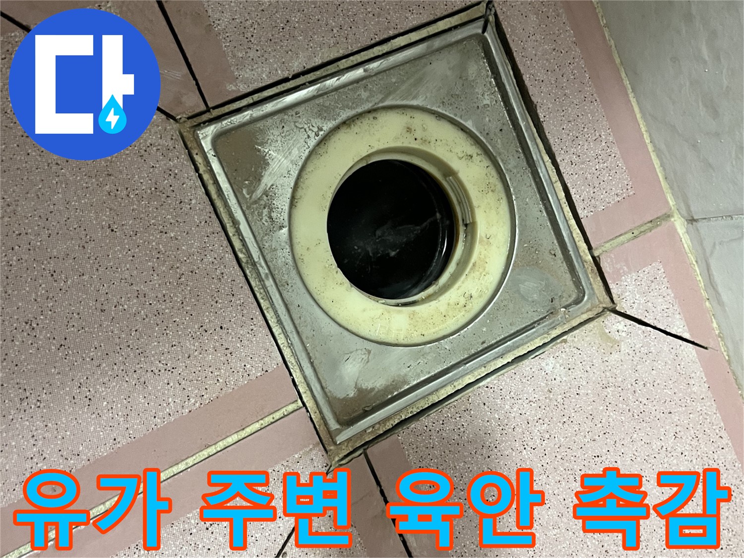 독산동 형제빌 유가 주변 육안 점검 및 촉감 점검 병행 - 꼼꼼한 누수 진단