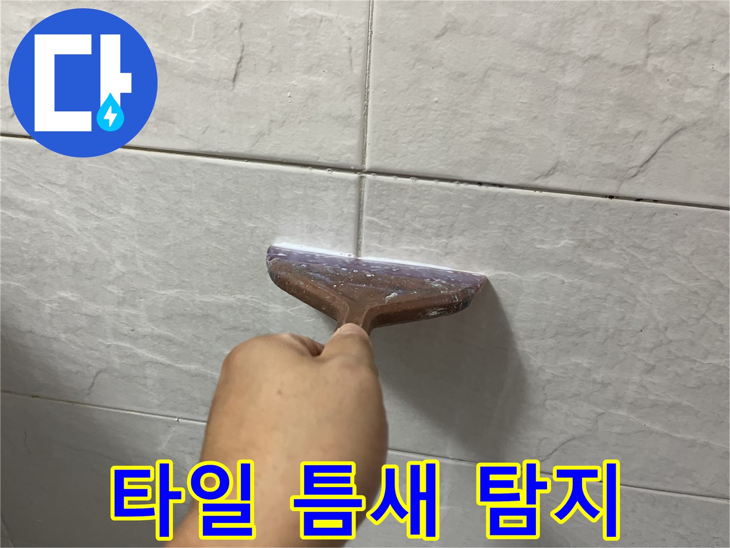 금천구-독산동 형제빌 누수 탐지 및 타일 틈새 누수 원인 찾기
